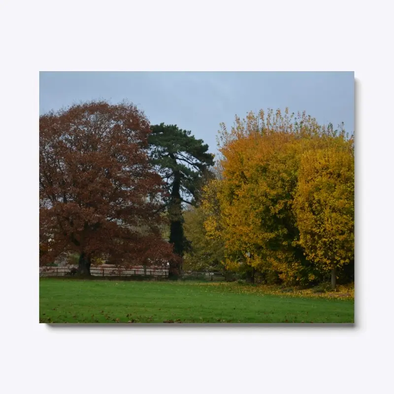 Penton Trees in Autumn